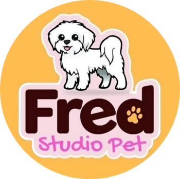 Banho e Tosa em Guarulhos com Leva e Traz | Fred Studio Pet